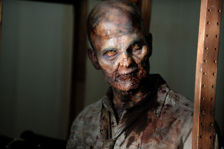 The Walking Dead - Zombie