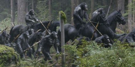 Apes Revolution - Il Pianeta Delle Scimmie - Scimmie a cavallo