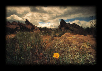 Vasquez Rocks