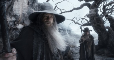 Lo Hobbit - La Desolazione Di Smaug - Gandalf