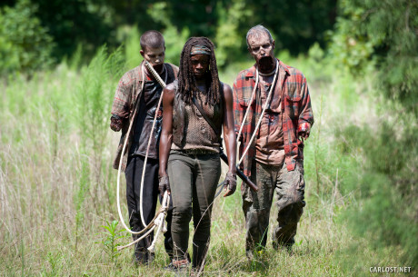 The Walking Dead - Michonne