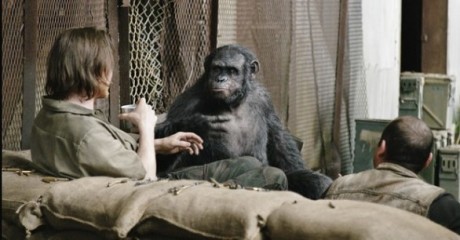 Apes Revolution - Il Pianeta Delle Scimmie - Uomini e scimmie